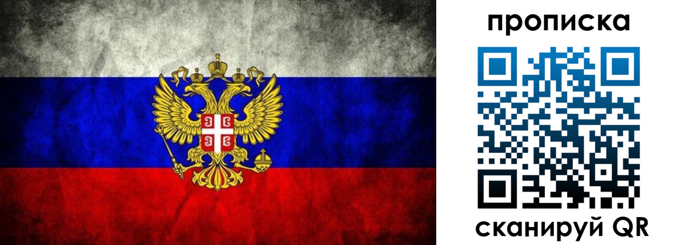 прописка поиск в Реутове